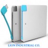 2500mAh Mobile Power Bank