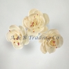 Handmade Dia Dry Flower